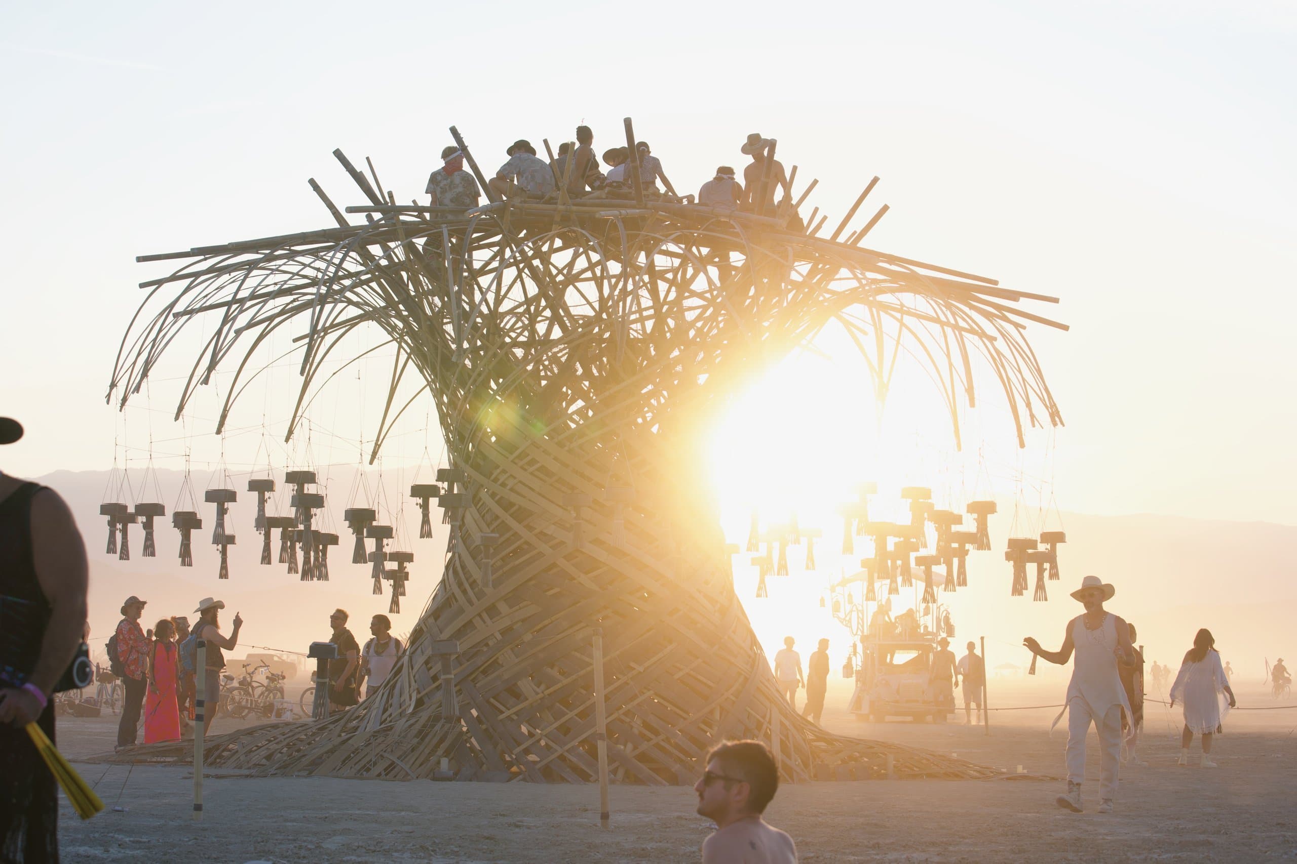The sun setting through the trunk of the Resonance Tree, its crown full of people and visitors walking beneath